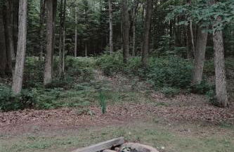 Lake Huron Lady of the Lake Cabin w HotTub, Sauna - Foto 16