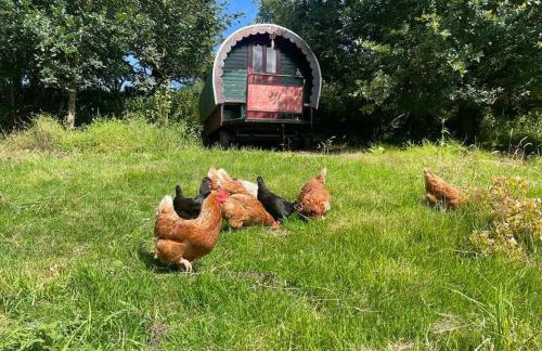 The Cabin at Shambala- now with sauna available to book! - Foto 18