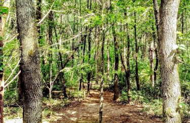 Secluded Watertree Tiny House near Old Hickory Lake – Private Deck, Trails & Breakfast - Foto 55