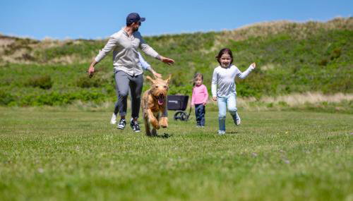 Ferienzentrum Wenningstedt - Foto 3, Garden, pet friendly