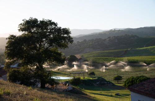 Auberge Santu Martine Cottage with Pool (Ollastru) - Foto 38