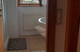 Primavera azzurra - Photo 12