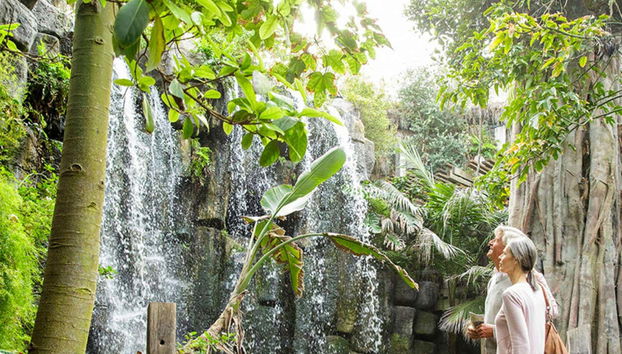 Palma Aquarium Tickets - Foto 5