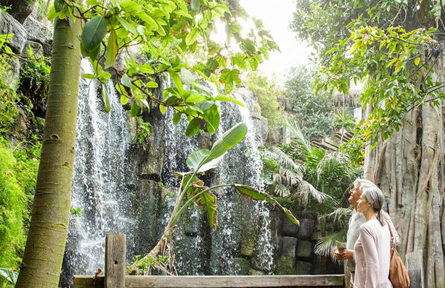 Entrada a Palma Aquarium - Foto 5