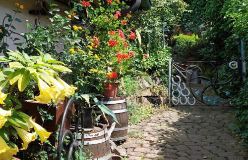 Beim Schlafwandler - Foto 4