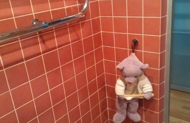 Lakshmi Dinamo Studio View - Foto 13