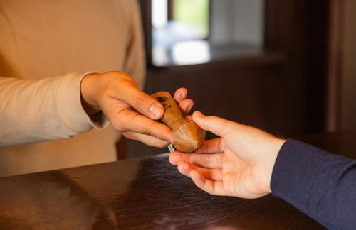 Monte do Papa Leguas - Foto 28