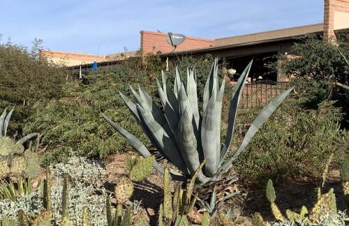 Garden Home with Mountain & Desert Views home - Foto 19
