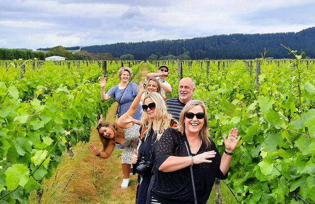 Tour del vino por Martinborough - Foto 8