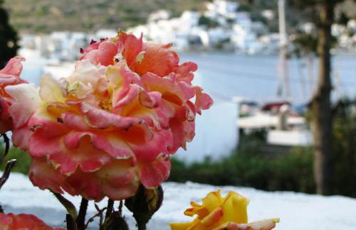 Anna Studios - Foto 39