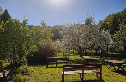 Die Malche Gäste und Tagungshaus Villa App 13 - Foto 14