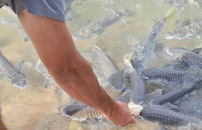 Zen Ocean Charm 3BR Luxury W Front Apt Pool BBQ - Foto 26