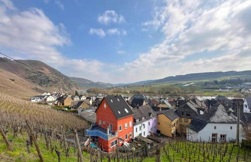 Panoramablick - Foto 20