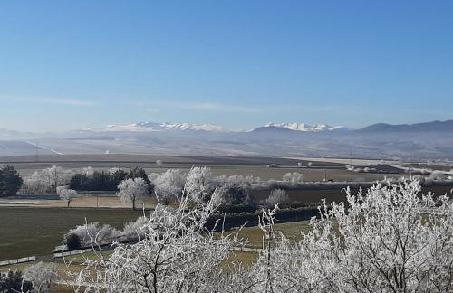 Mont2roux - Photo 31