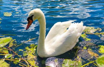 Billing Aquadrome ,3 bedrooms caravan - Photo 54