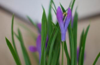 Apartments Frenkie - Photo 34