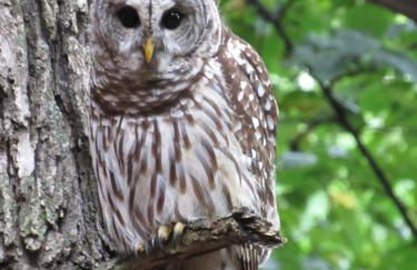 Retreat in a Stunning House - Foto 22