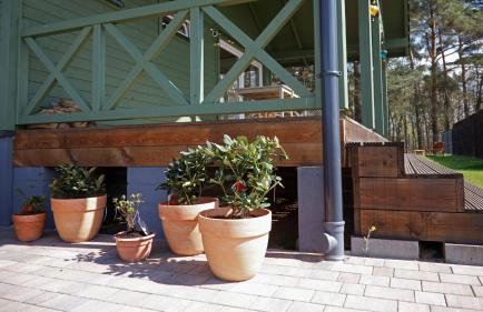 Zielony domek Drzewoszewo - Foto 3