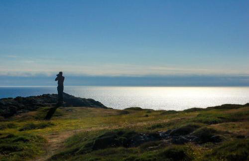 Hen-Felin - Photo 30