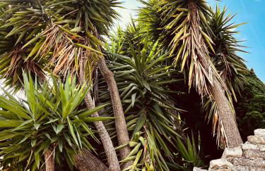 Terrazza Gaino - Foto 72