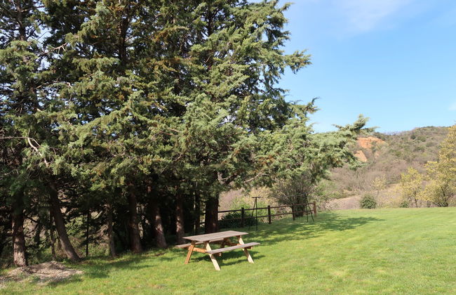 Le Prunier - Foto 19