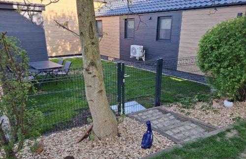 Mobilheim Bumblebee im Allgäu - Foto 3