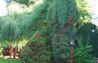 Ferienwohnung Aronia - Photo 16