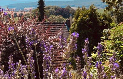 Ferienwohnung „Hygge“ in Liebenburg - Photo 1