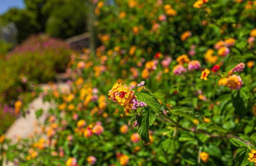 Casa Mi Arcadia - Foto 32