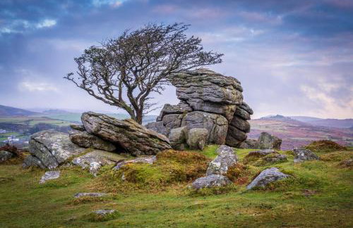 Hoe Park House, Central Victorian Townhouse Near Barbican and Seafront - Foto 72
