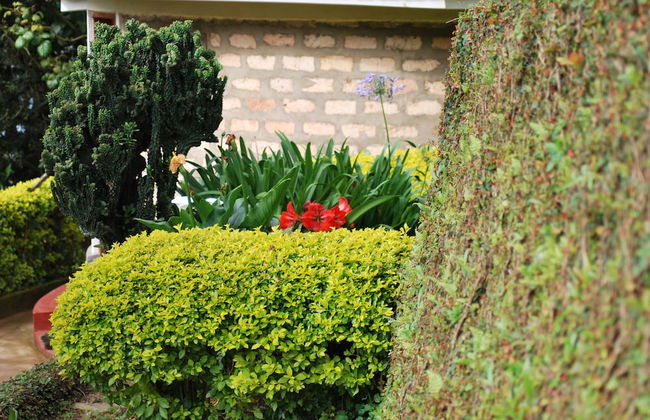 Crater Bay Cottages - Photo 51