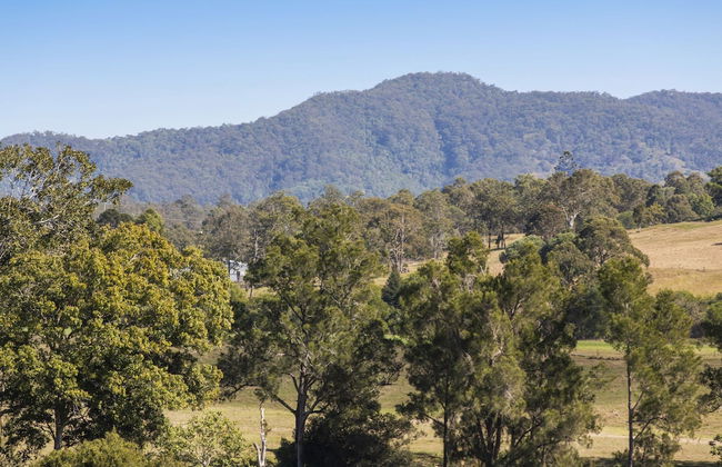 Valley Cabins By The Creek - Photo 11