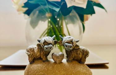 The Orchard Apartment, Clyde Valley - Foto 77