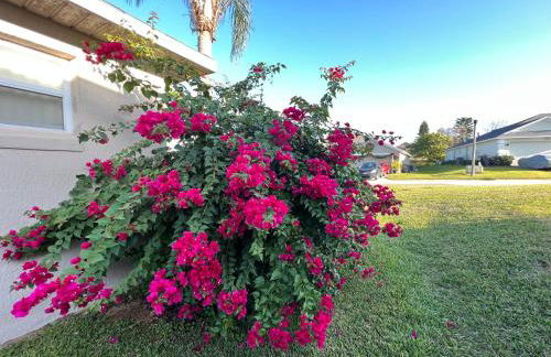 EXQUISITE VILLA - 2 Master Suites, Pool South and Spa, Gas BBQ, Game Room, WIFI - Foto 42