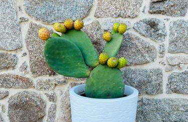 Villa Case Vecchie - Foto 24