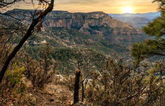 New Flagstaff House Near Mt Elden and Downtown - Foto 36