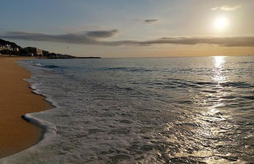 Oasis cerca de Barcelona - Photo 7