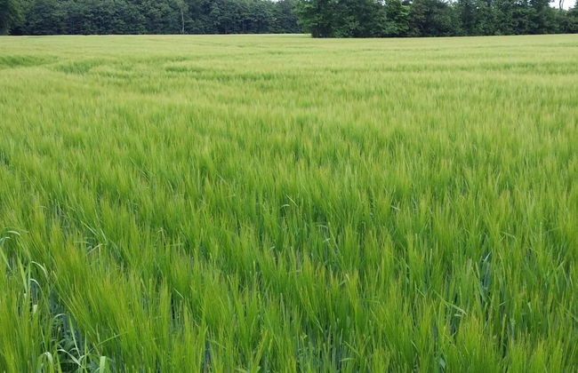 Lakefront Gem in Skarrild - By Traum Ferienwohnungen - Foto 17