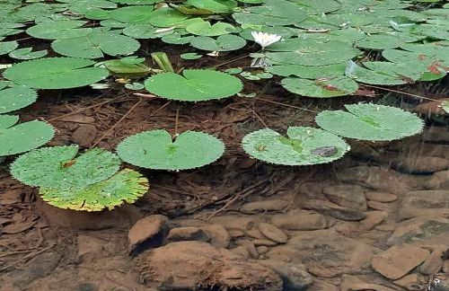 Casa Petar Betari - Foto 75