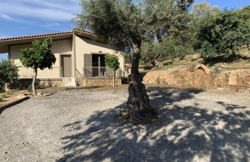 Olive Guest Farm - Foto 43