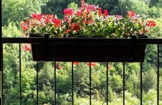 Les Forques de'n Pep - Foto 30