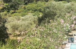 Villa CIGALONS en pleine pinède avec PISCINE - Foto 24