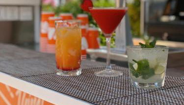 Viva Sunrise - Photo 4