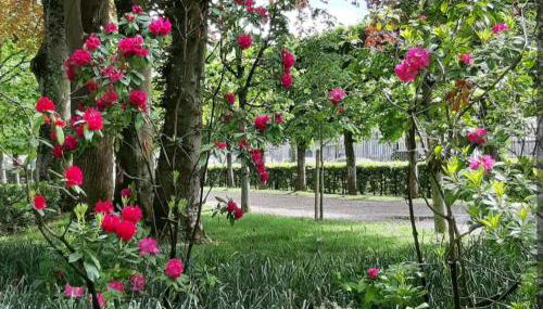 La Romantique - Foto 4