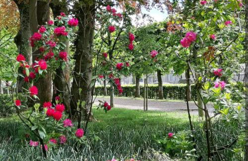 La Romantique - Foto 4