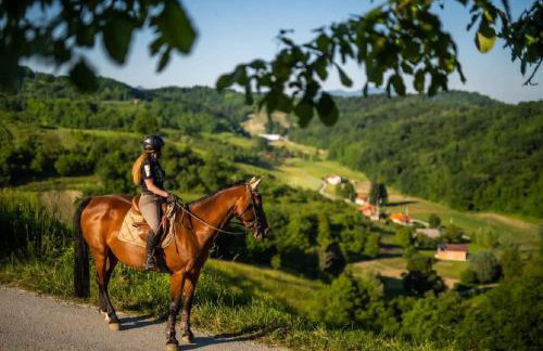 Holiday house Green hill in Zagorje - Foto 32