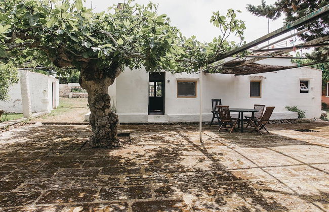 Hotel Agroturismo Son Triay - Foto 50