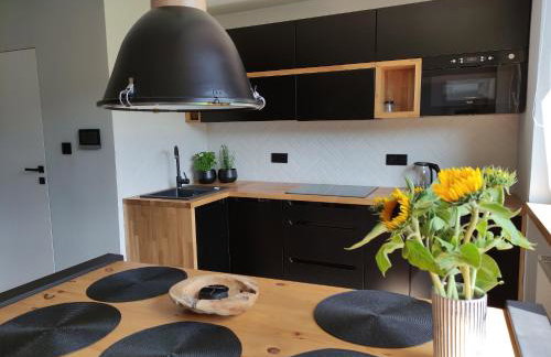 APARTAMENTY JEDYNE TAKIE.... - Photo 14