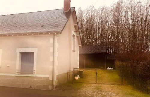 Maison familiale jardin wifi 17km Beauval - Foto 38