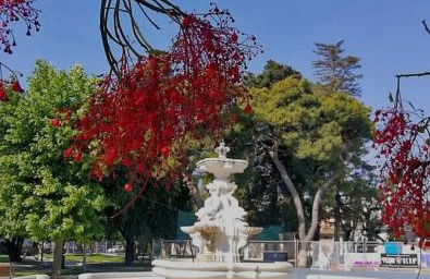 San Lorenzo - Foto 23